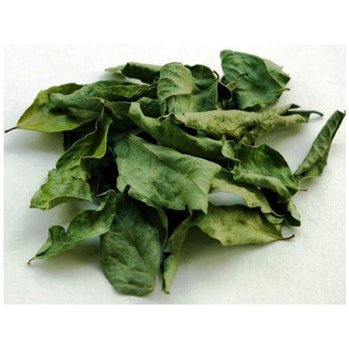 Curry Leaves