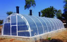 Solar tunnel dryer for food drying