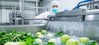 Industrial vegetable washing machine